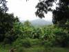 Forêt et montagne de Kloto Togo